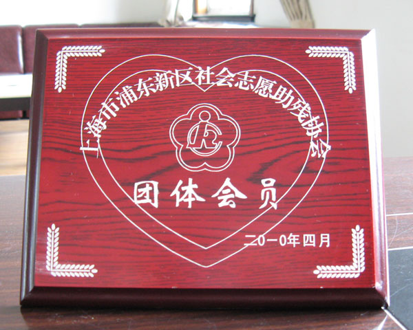 Pudong New Area social voluntary Disabled Association in 2010