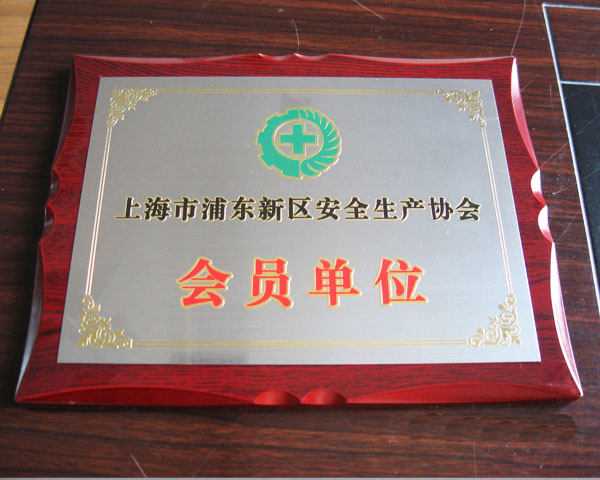 Shanghai Pudong New Area Production Safety Association member unit